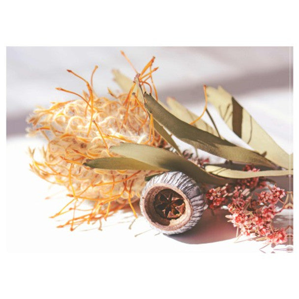 DISPOSABLE PLACEMATS - DRIED NEEDLE PROTEA AND FYNBOS