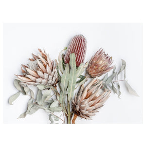 DISPOSABLE PLACEMATS - KING PROTEA & EUCALYPTUS