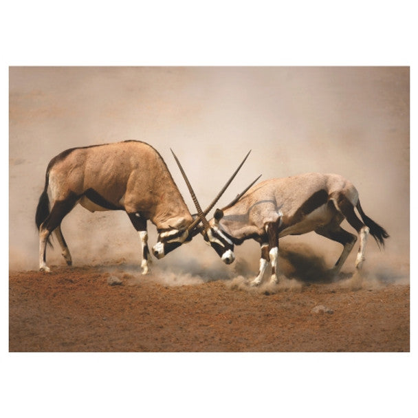 DISPOSABLE PLACEMATS - GEMSBOK