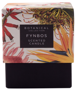 PEPPER TREE Fynbos Scented Candle
