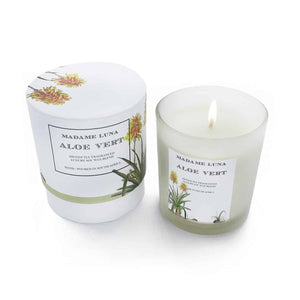 MADAME LUNA SUCCULENT ALOE GLASS CANDLE ALOE VERT - GREEN TEA