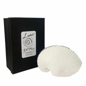 MADAME LUNA PAPER NAUTILUS - SMALL